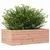 Produktbild 4 för Odlingslåda 70x40x23 cm massivt douglasträ