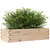 Produktbild 4 för Odlingslåda 90x40x23 cm massivt furuträ