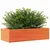 Produktbild 4 för Odlingslåda vaxbrun 90x40x23 cm massiv furu