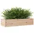 Produktbild 4 för Odlingslåda 110x40x23 cm massivt furuträ