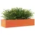 Produktbild 4 för Odlingslåda vaxbrun 110x40x23 cm massiv furu