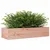 Produktbild 4 för Odlingslåda 110x40x23 cm massiv douglasträ