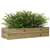 Produktbild 4 för Odlingslåda 110x40x23 cm impregnerat furu