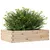 Produktbild 4 för Odlingslåda 90x60x23 cm massivt furuträ