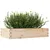 Produktbild 4 för Odlingslåda 110x60x23 cm massivt furuträ