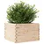 Produktbild 4 för Odlingslåda 70x70x45,5 cm massivt furuträ