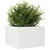 Produktbild 4 för Odlingslåda vit 70x70x45,5 cm massiv furu