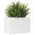 Produktbild 4 för Odlingslåda vit 70x40x45,5 cm massiv furu