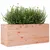 Produktbild 4 för Odlingslåda 110x40x45,5 cm massivt douglasträ