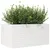 Produktbild 4 för Odlingslåda vit 90x60x45,5 cm massiv furu