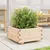 Produktbild 3 för Odlingslåda 50x50x26,5 cm massivt furuträ