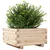 Produktbild 4 för Odlingslåda 50x50x26,5 cm massivt furuträ