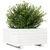 Produktbild 4 för Odlingslåda vit 50x50x26,5 cm massiv furu