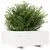 Produktbild 4 för Odlingslåda vit 60x60x26,5 cm massiv furu