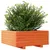 Produktbild 4 för Odlingslåda vaxbrun 60x60x26,5 cm massiv furu