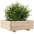Produktbild 4 för Odlingslåda 70x70x26,5 cm massivt furuträ