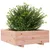 Produktbild 4 för Odlingslåda 70x70x26,5 cm massivt douglasträ