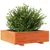 Produktbild 4 för Odlingslåda vaxbrun 80x80x26,5 cm massiv furu