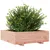 Produktbild 4 för Odlingslåda 80x80x26,5 cm massivt douglasträ