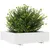 Produktbild 4 för Odlingslåda 90x90x26,5 cm vit massiv furu