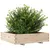 Produktbild 4 för Odlingslåda 100x100x26,5 cm massivt furuträ