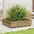 Produktbild 3 för Odlingslåda 100x100x26,5 cm impregnerat furu