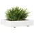 Produktbild 4 för Odlingslåda vit 110x110x26,5 cm massiv furu