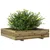 Produktbild 4 för Odlingslåda 110x110x26,5 cm impregnerat furu