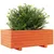 Produktbild 4 för Odlingslåda vaxbrun 70x40x26,5 cm massiv furu