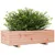Produktbild 4 för Odlingslåda 90x40x26,5 cm massivt douglasträ