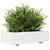 Produktbild 4 för Odlingslåda vit 90x60x26,5 cm massiv furu
