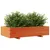 Produktbild 4 för Odlingslåda vaxbrun 110x60x26,5 cm massiv furu