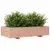 Produktbild 4 för Odlingslåda 110x60x26,5 cm massivt douglasträ