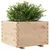 Produktbild 4 för Odlingslåda 70x70x49,5 cm massivt furuträ
