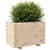 Produktbild 4 för Odlingslåda 70x40x49,5 cm massivt furuträ