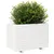 Produktbild 4 för Odlingslåda vit 70x40x49,5 cm massiv furu