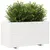 Produktbild 4 för Odlingslåda vit 90x40x49,5 cm massiv furu