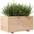 Produktbild 4 för Odlingslåda 90x60x49,5 cm massivt furuträ