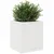 Produktbild 4 för Odlingslådor vit 40x40x46 cm massiv furu