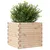 Produktbild 4 för Odlingslåda 50x50x46 cm massivt furuträ