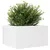 Produktbild 4 för Odlingslådor vit 80x80x46 cm massiv furu
