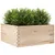 Produktbild 4 för Odlingslåda 100x100x46 cm massivt furuträ