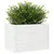 Produktbild 4 för Odlingslådor vit 70x40x46 cm massiv furu