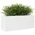 Produktbild 4 för Odlingslåda vit 110x40x46 cm massiv furu