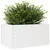 Produktbild 4 för Odlingslåda 90x60x46 cm vit massiv furu