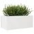 Produktbild 4 för Odlingslåda vit 110x60x46 cm vit massiv furu