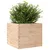 Produktbild 4 för Odlingslåda 80x80x68,5 cm massivt furuträ