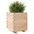 Produktbild 4 för Odlingslåda 40x40x49,5 cm massivt furuträ