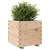 Produktbild 4 för Odlingslåda 50x50x49,5 cm massivt furuträ