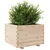 Produktbild 4 för Odlingslåda 70x70x49,5 cm massivt furuträ